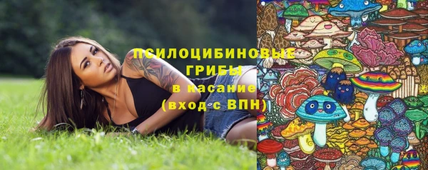 ПСИЛОЦИБИНОВЫЕ ГРИБЫ Армянск